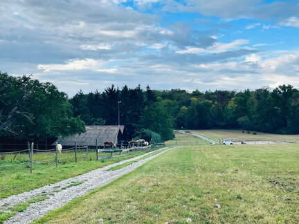 22-09-10 17-57-21 1974